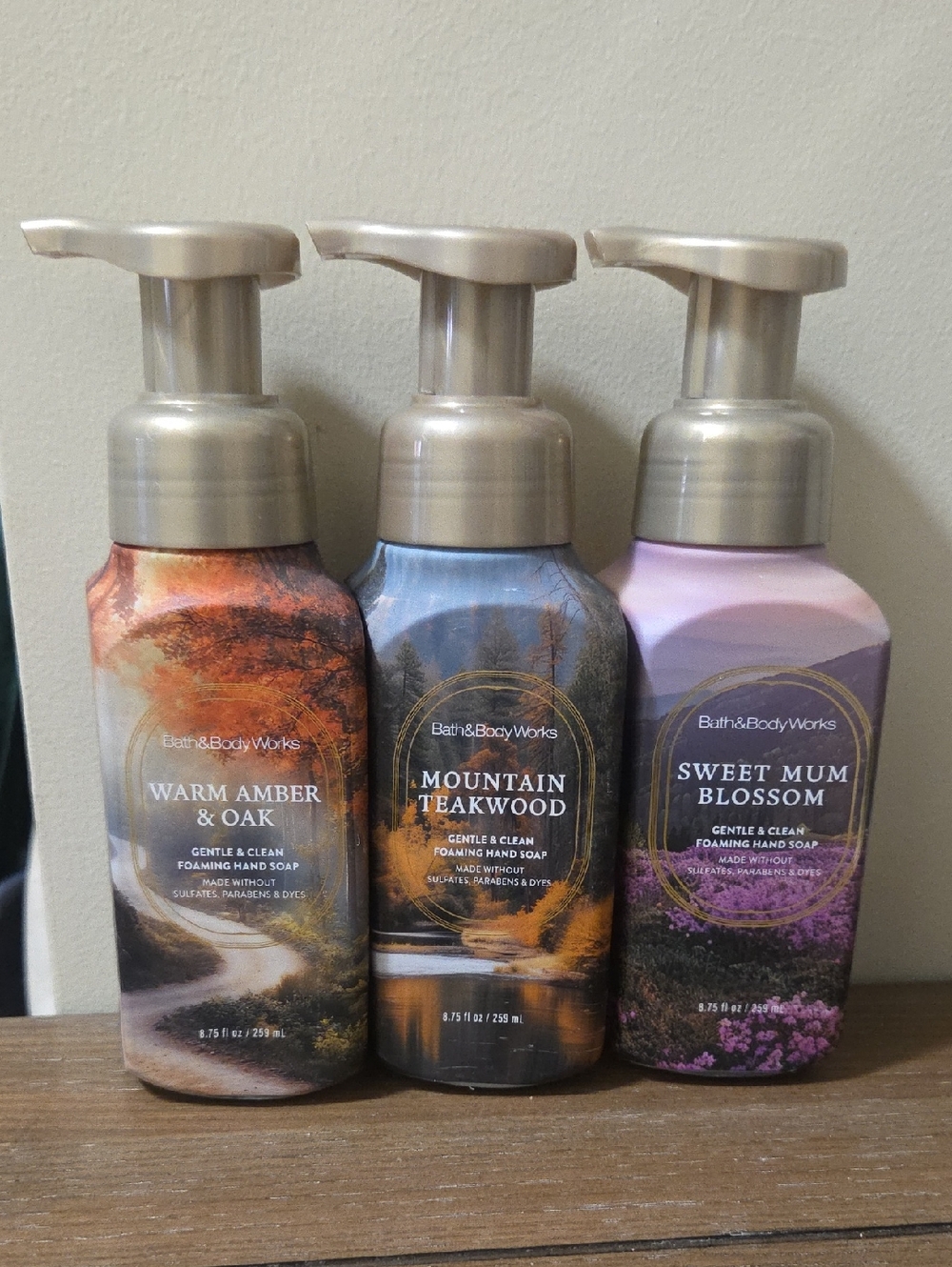 Bath & Body Works Nature Series Foaming Hand Soap Set